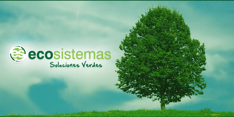 ecosistemas, Soluciones Verdes